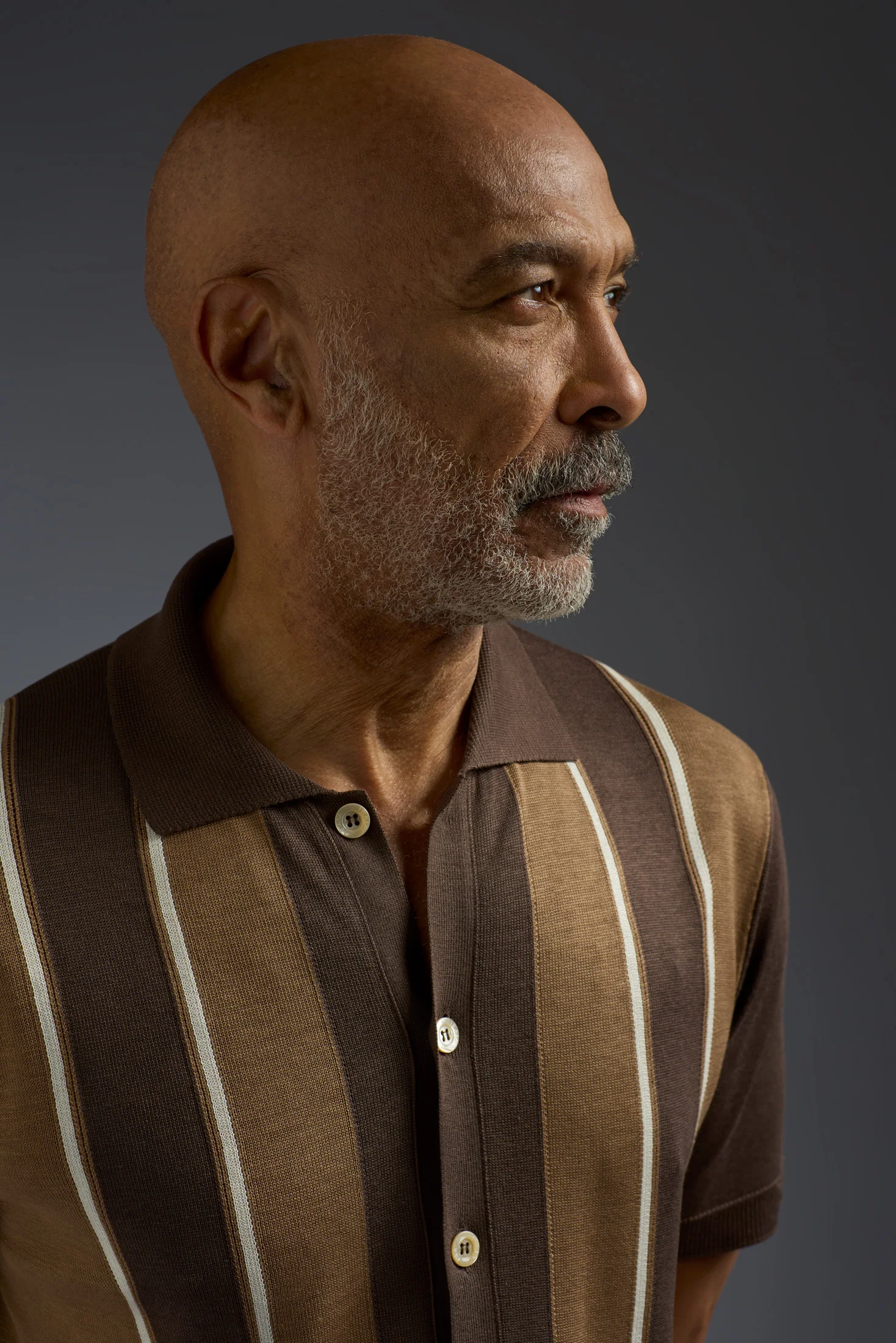 Mulberry Silk Colorblock Polo - Image 3